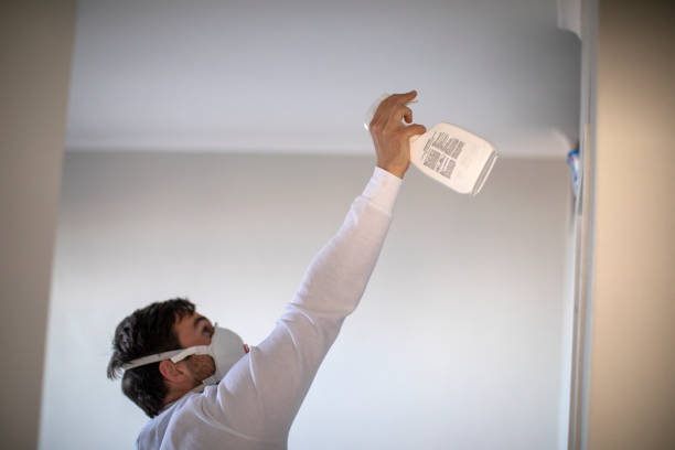 Best Industrial Mold Remediation in Vine Grove, KY